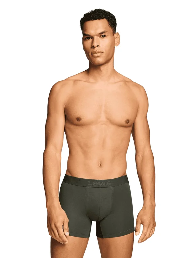 Twill Wb Boxer Brief 2P