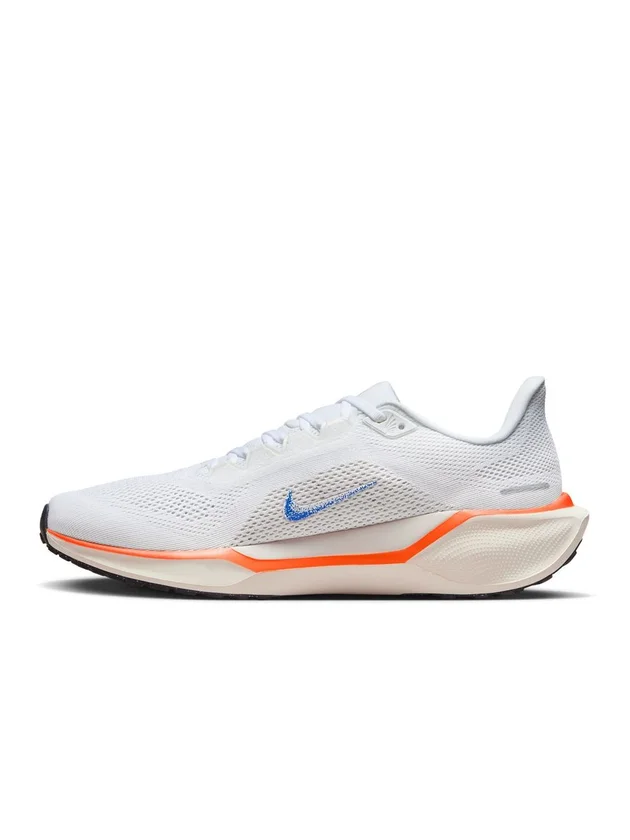 Air Zoom Pegasus 41 FP