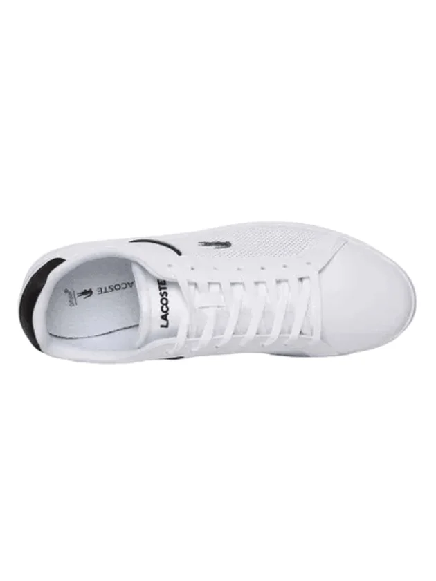 Lite Base 126 1 SMA