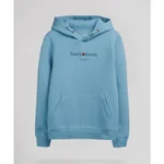 BLEU GRIS