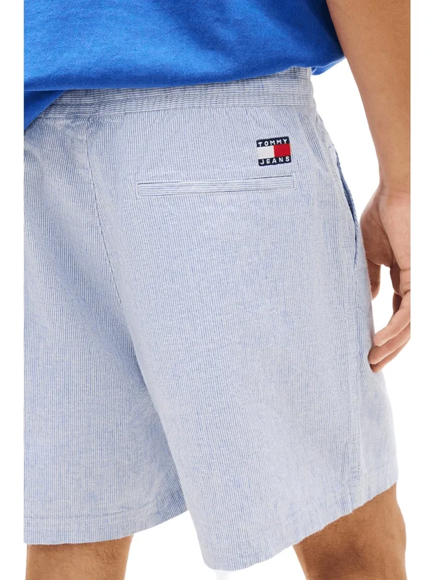 Linen Blend Stripe Short