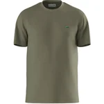 OLIVE 06Y
