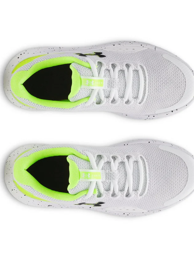 Surge 4