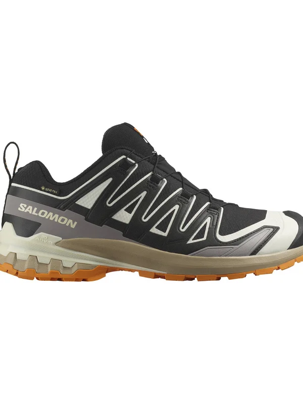 Xa Pro 3D V9 Gore-Tex