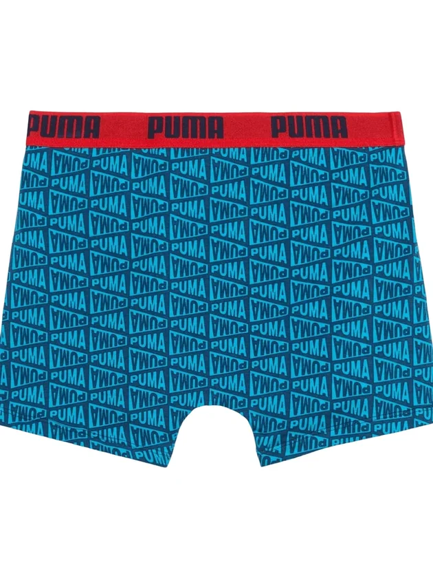 Flag Printed Boxers 2P