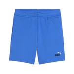 MOUNTAIN BLUE