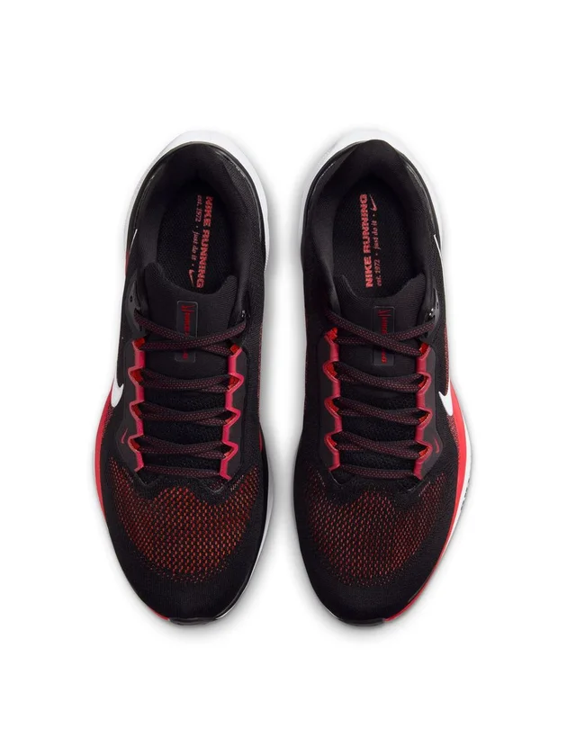 Air Zoom Pegasus 41