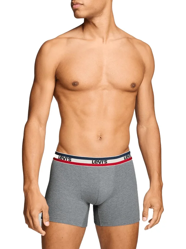 Repeat Spw Logo Boxer Brief 2P