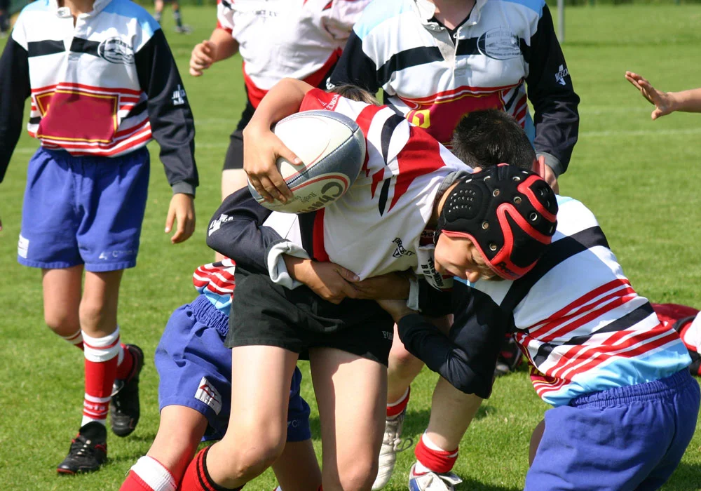 Joueurs de rugby
