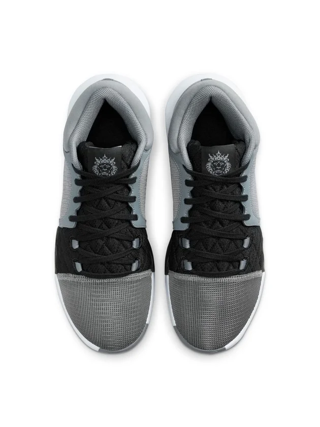 Lebron Witness VIII
