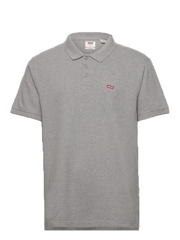 Polo HM