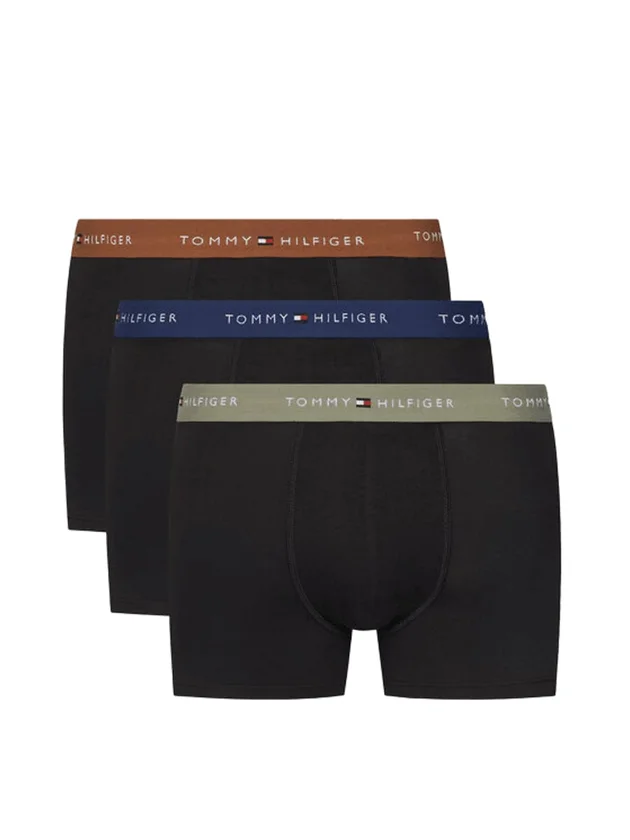3P WB Trunk