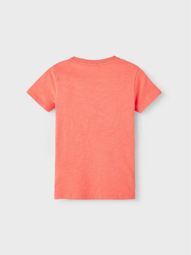 Flaska Ss Top