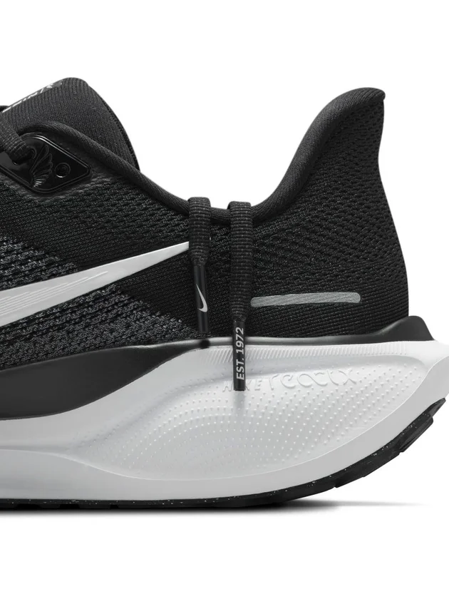 Air Zoom Pegasus 41