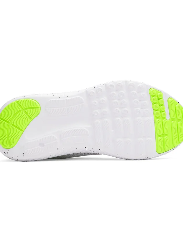 Surge 4