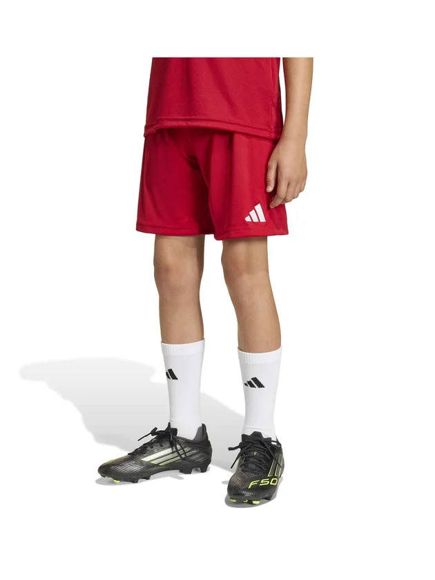 Ent26 Sho