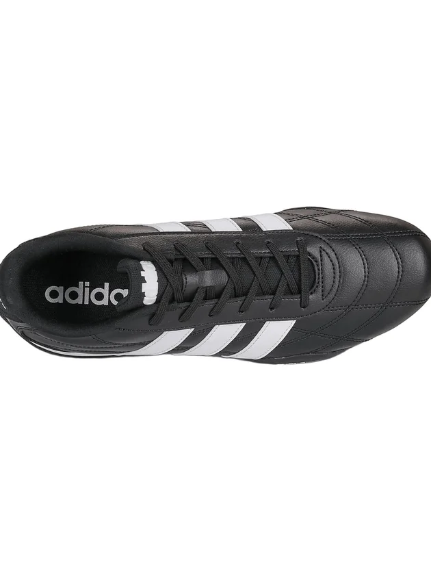 Adipista