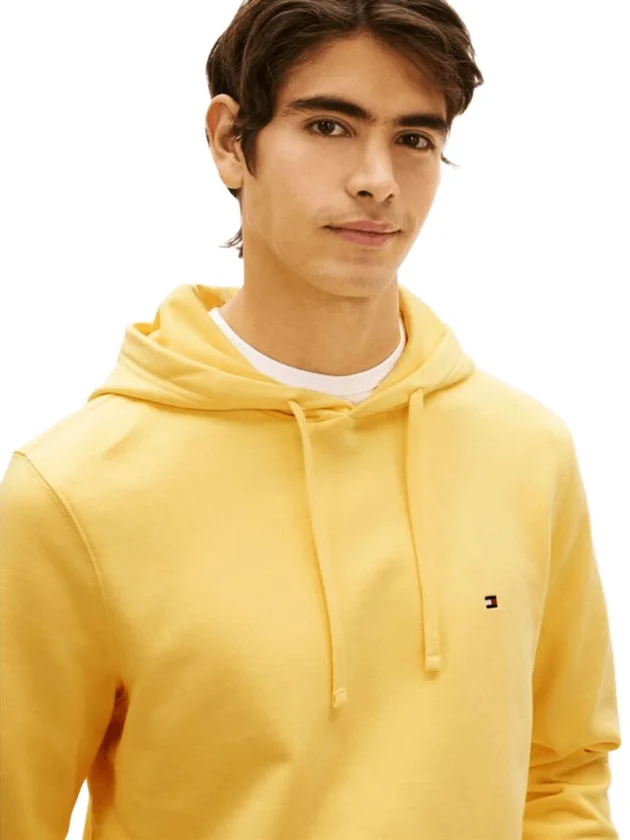 Essential Terry Hood