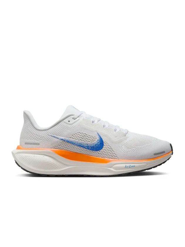 Air Zoom Pegasus 41 FP