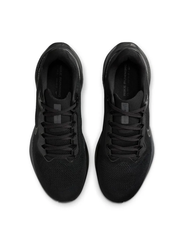 Air Zoom Pegasus 41
