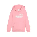 PINKSCAPE
