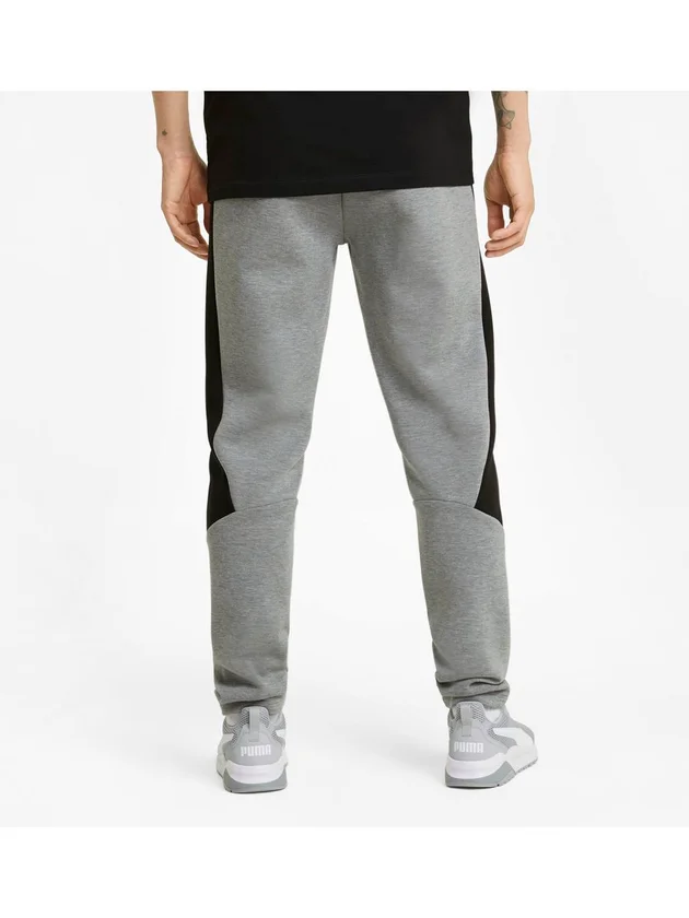 Evostripe Core Pants
