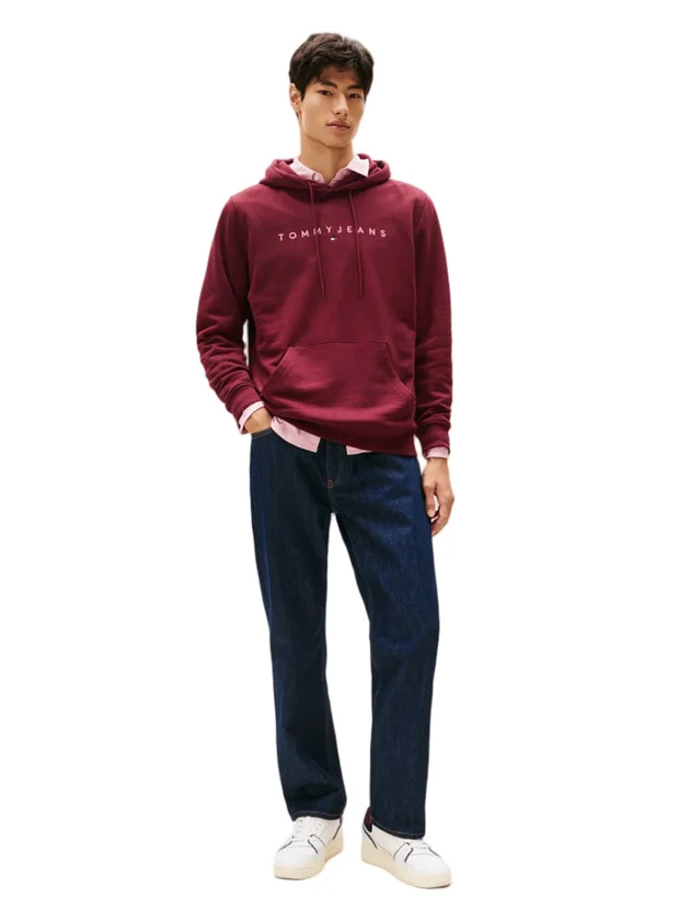 Reg Linear Logo Hoodie Ext