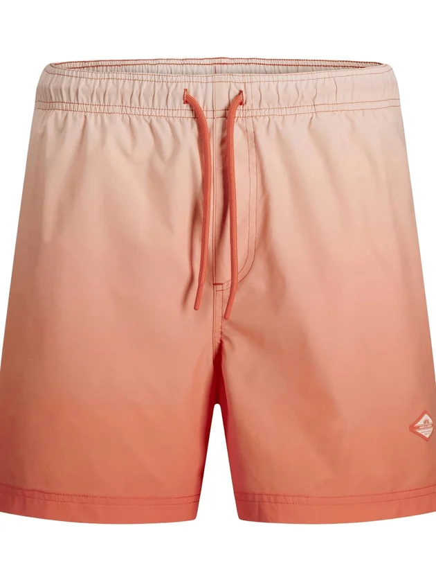 Horizon Dip Dye Swim Shorts