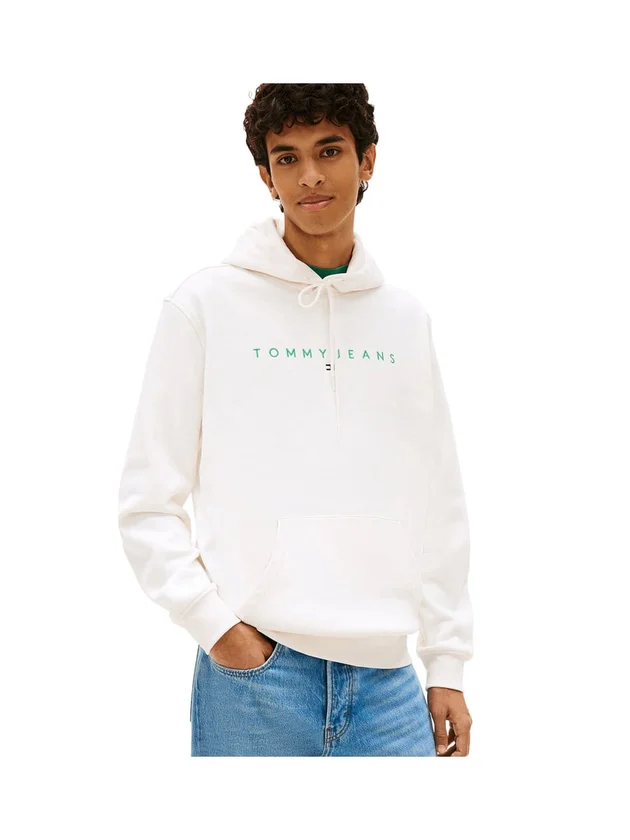 Reg Linear Logo Hoodie Ext