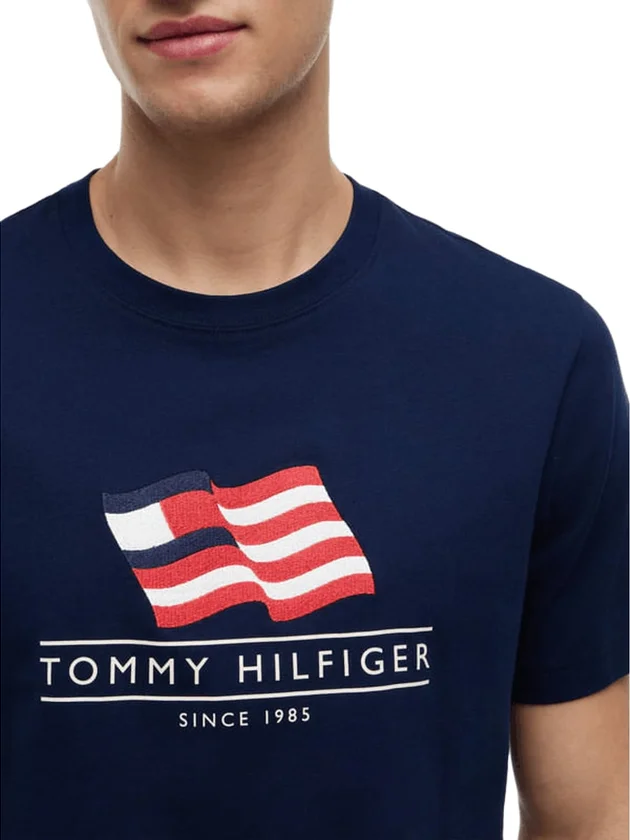 Main Flag Regula