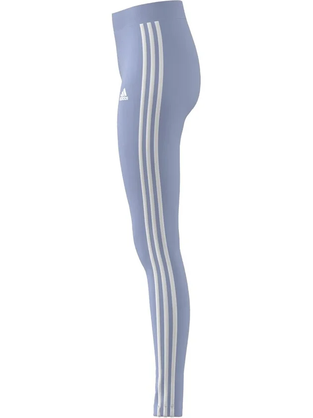 3S Leg