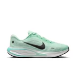 MINT FOAM/BLACK-BLEACHED TURQ-CANNON