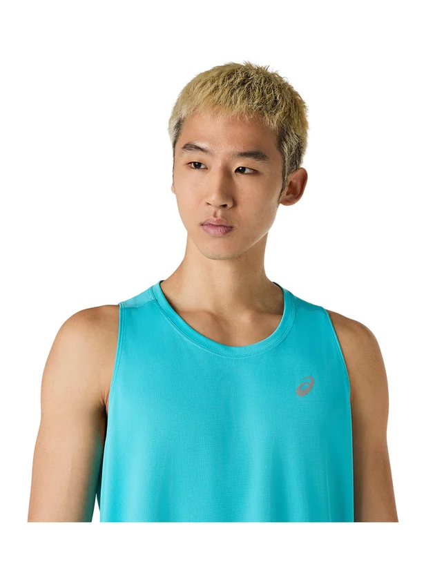 Core Singlet