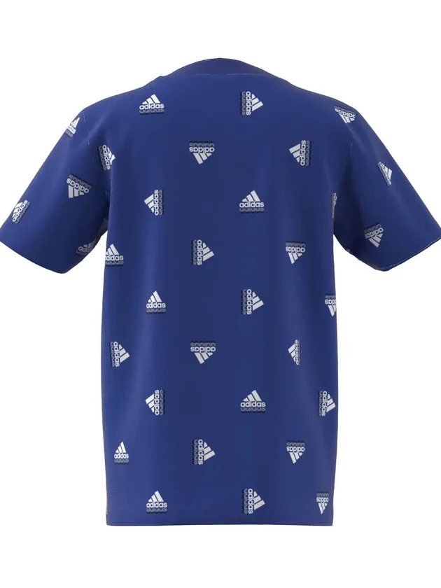 Lk Bluv Co Tee