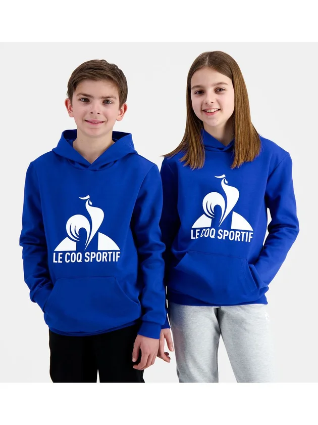 Ess Hoody N3