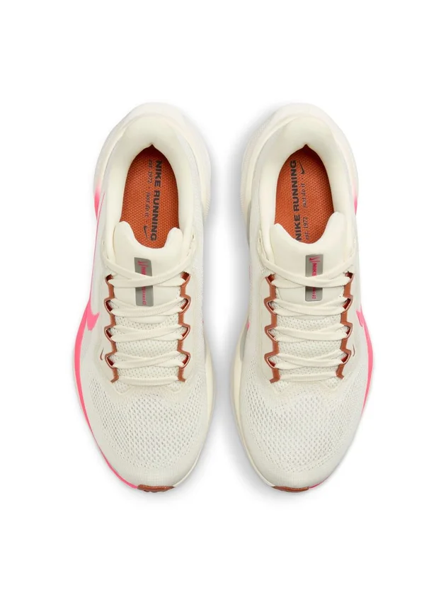 Air Zoom Pegasus 41