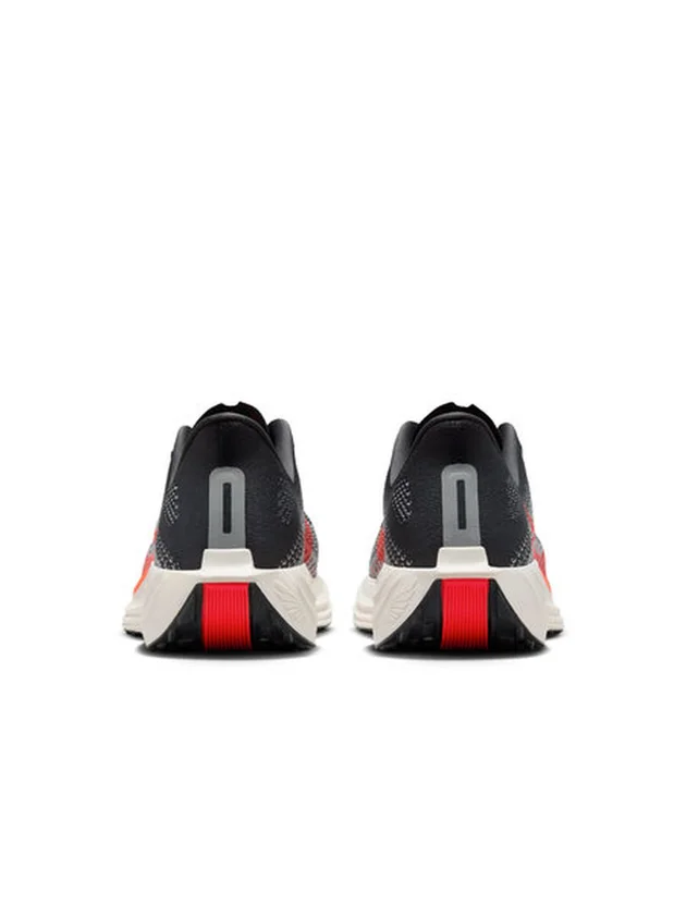 Pegasus Plus