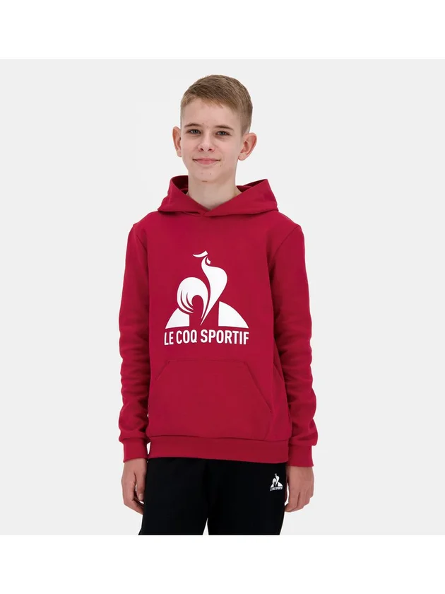 Ess Hoody N3