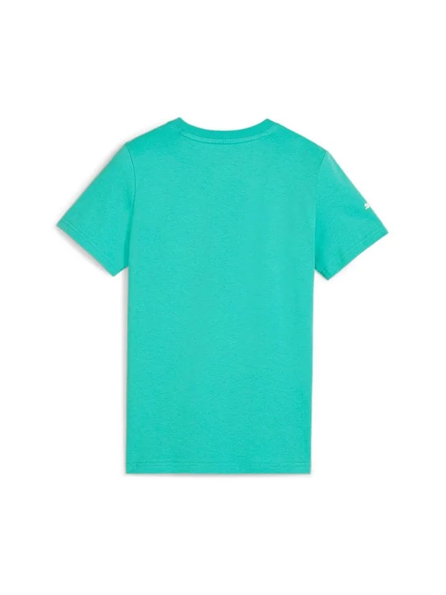 B Mapf1 Log Tee