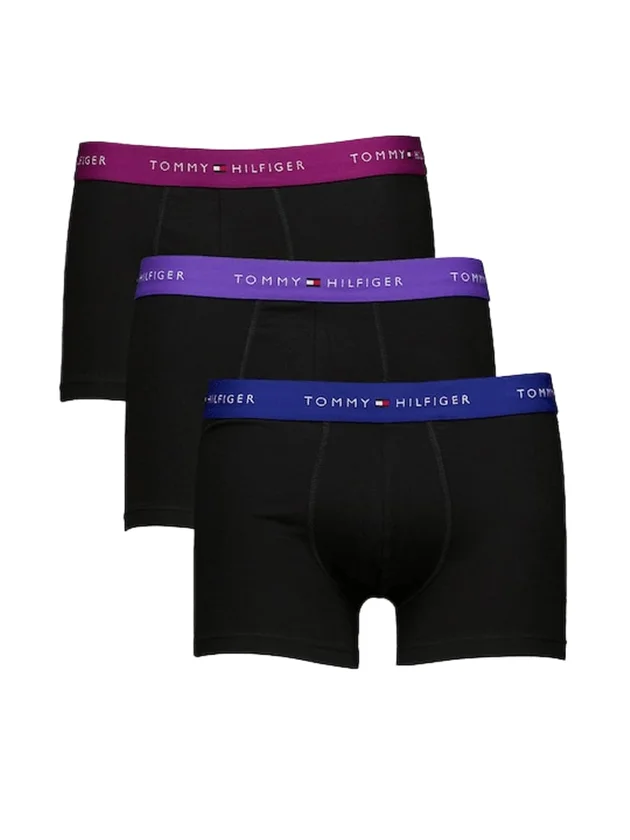 3P WB Trunk