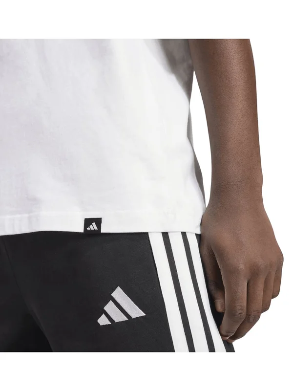 Pennant T