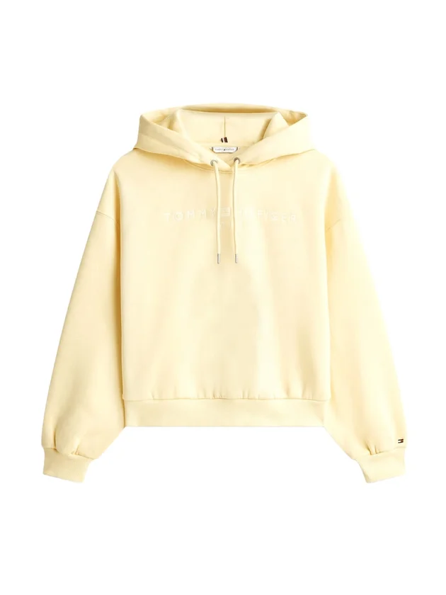 Corp Logo Mdrn Hoodie
