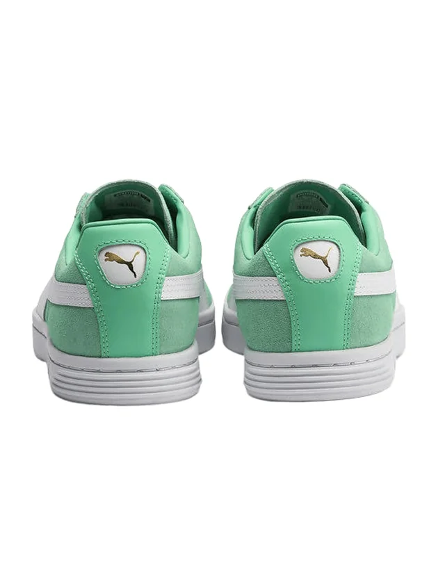Court Star FS