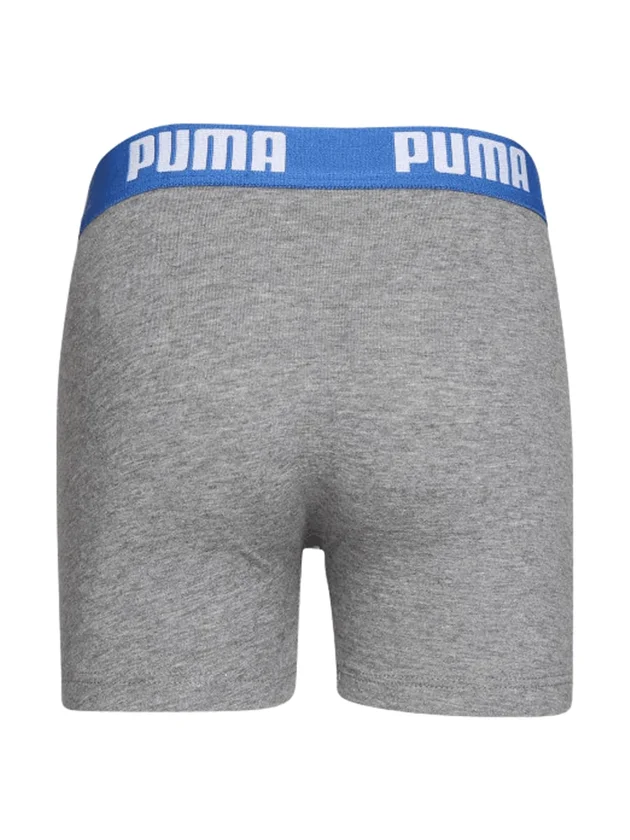 Basic Boxer 2P