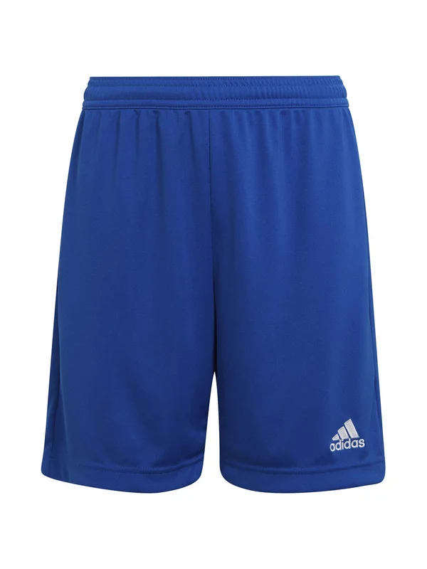 Entrada 22 Short