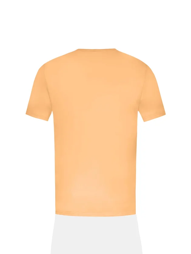 Tee SS N2