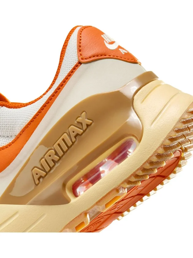Air Max Systm