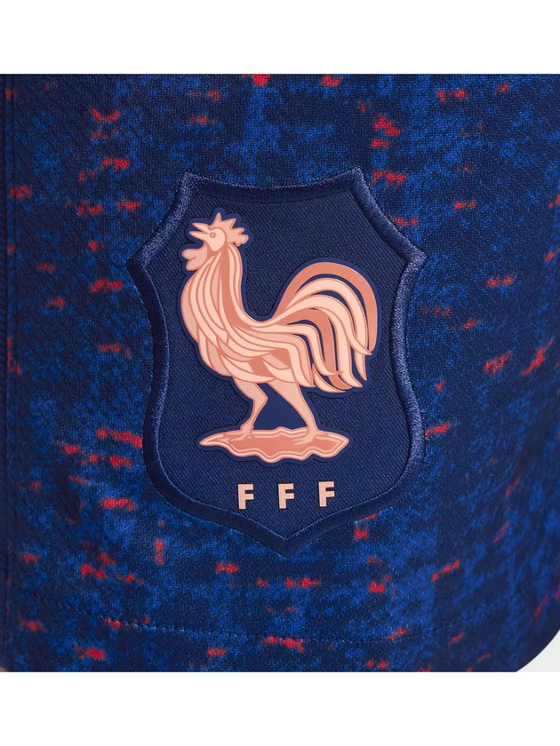 France Replica Stadium Dri-FIT Domicile