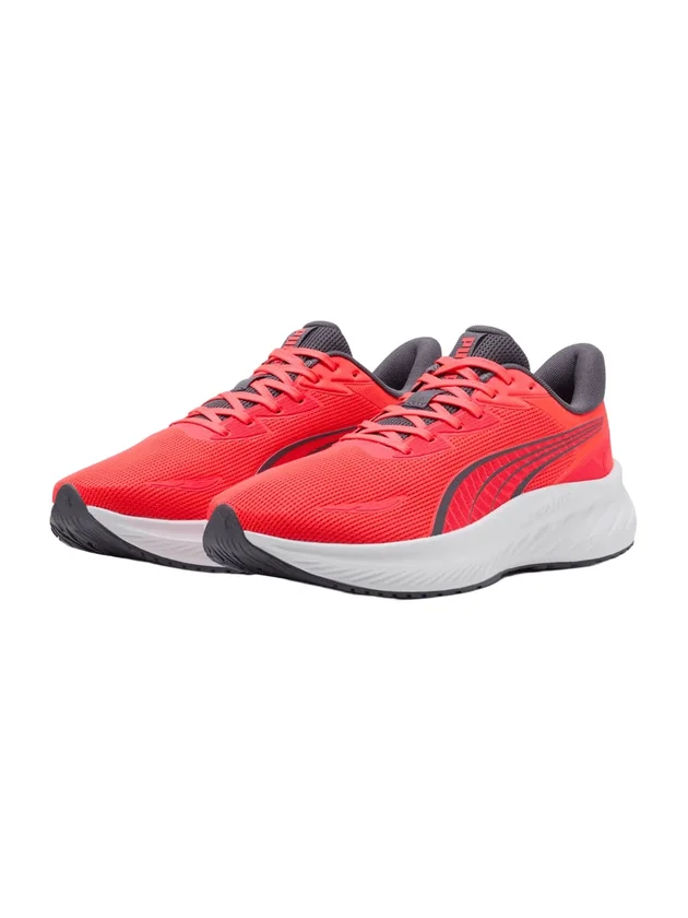 Pounce Lite 2