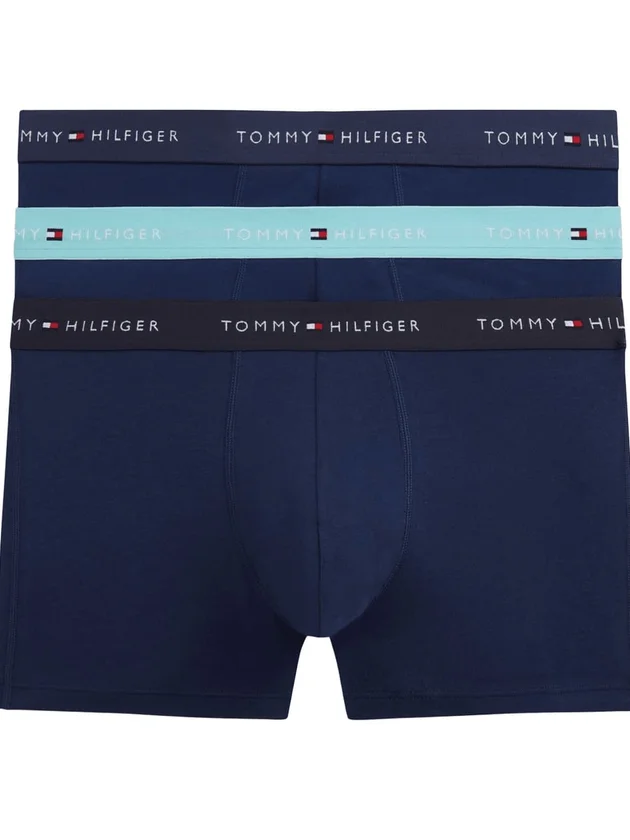 3P Trunk WB